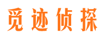 青铜峡市私家侦探